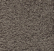 Ковролин AW Devotion 39 фото 1 | FLOORDEALER